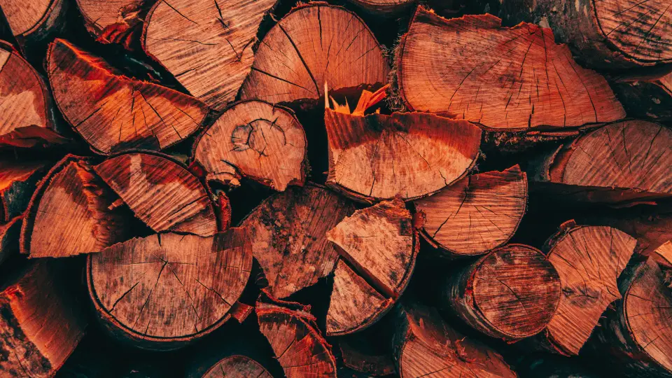 Соснові дрова стос — BAZA DROV Дніпро